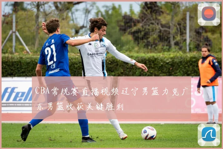 CBA常规赛直播视频辽宁男篮力克广东男篮收获关键胜利