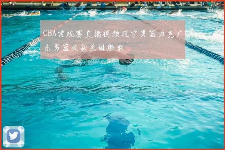 CBA常规赛直播视频辽宁男篮力克广东男篮收获关键胜利